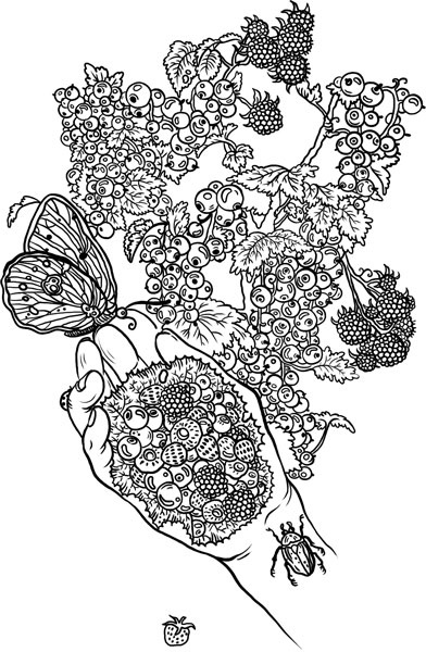 Иллюстрация к книге — О лебединых крыльях, котах и чудесах [i_024.jpg]