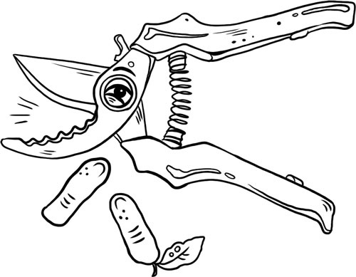 Иллюстрация к книге — О лебединых крыльях, котах и чудесах [i_026.jpg]