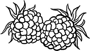 Иллюстрация к книге — О лебединых крыльях, котах и чудесах [i_027.jpg]