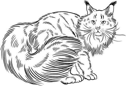 Иллюстрация к книге — О лебединых крыльях, котах и чудесах [i_033.jpg]