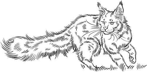 Иллюстрация к книге — О лебединых крыльях, котах и чудесах [i_034.jpg]