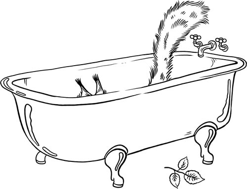 Иллюстрация к книге — О лебединых крыльях, котах и чудесах [i_036.jpg]