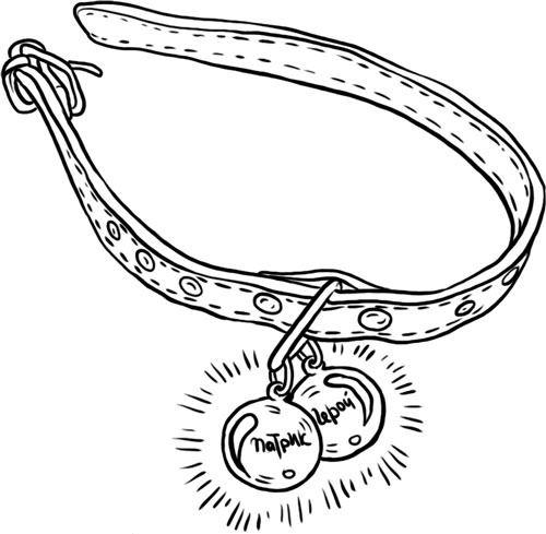 Иллюстрация к книге — О лебединых крыльях, котах и чудесах [i_040.jpg]