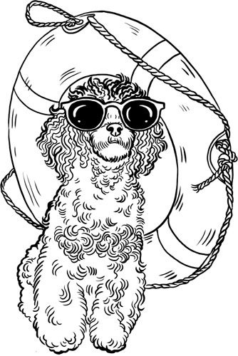 Иллюстрация к книге — О лебединых крыльях, котах и чудесах [i_041.jpg]