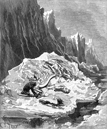 Иллюстрация к книге — Из Парижа в Бразилию по суше [i_014.jpg]