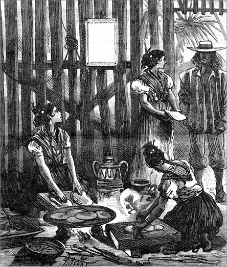 Иллюстрация к книге — Из Парижа в Бразилию по суше [i_052.jpg]