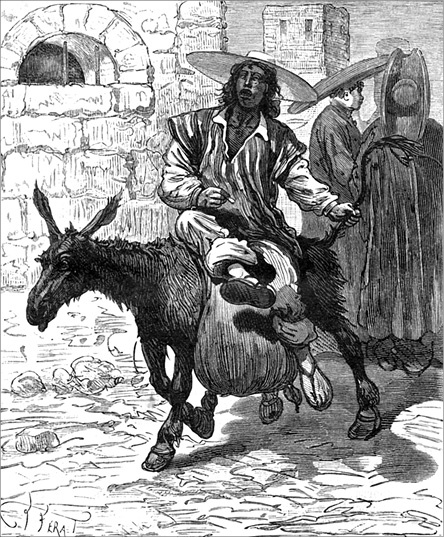 Иллюстрация к книге — Из Парижа в Бразилию по суше [i_055.jpg]