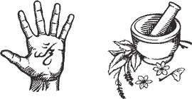 Иллюстрация к книге — Война с демонами. Книга 5. Королева демонов [i_015.jpg]