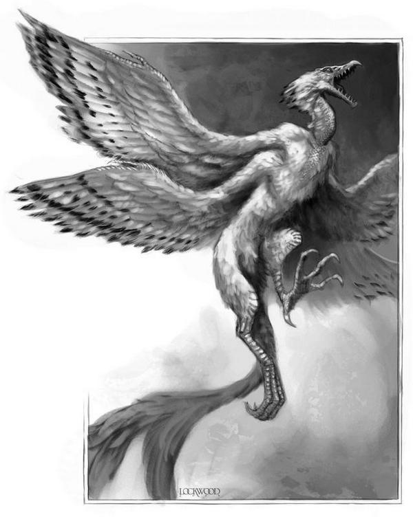 Иллюстрация к книге — Естественная история драконов. Мемуары леди Трент. Тропик Змеев [i_006.jpg]