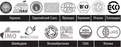 Иллюстрация к книге — Здоровое питание в большом городе [img80d6556499334a4a8b53af3699baba3b.jpg]