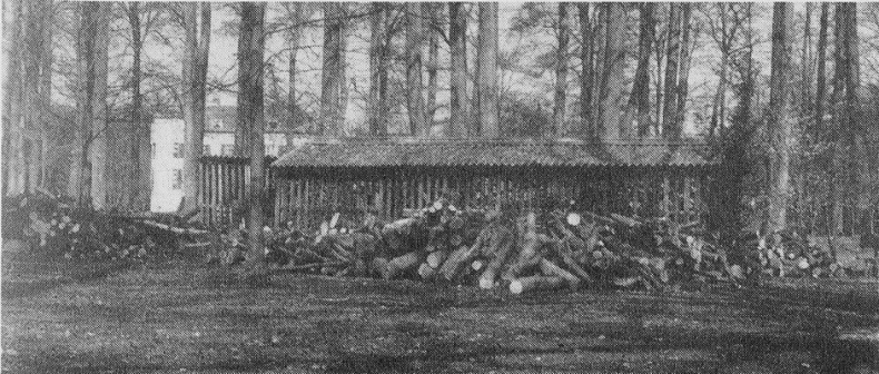 Иллюстрация к книге — Последний кайзер. Вильгельм Неистовый [pic35.jpg]