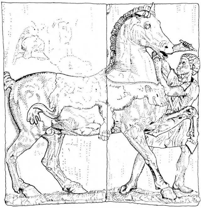 Иллюстрация к книге — Армия Александра Великого [any2fbimgloader12.jpg]