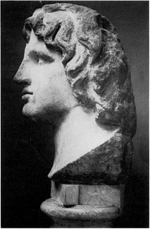 Иллюстрация к книге — Армия Александра Великого [any2fbimgloader4.jpg]