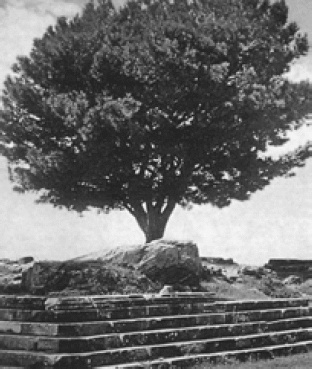 Иллюстрация к книге — Древняя Греция [i_082.jpg]