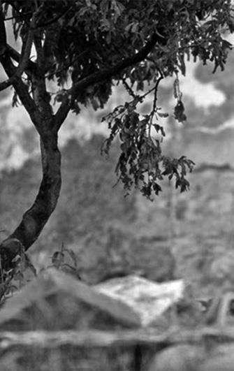 Иллюстрация к книге — Люди Грузинской Церкви. Истории. Судьбы. Традиции [i_005.jpg]