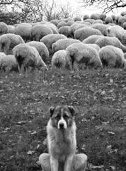 Иллюстрация к книге — Люди Грузинской Церкви. Истории. Судьбы. Традиции [i_085.jpg]