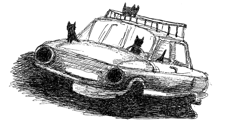 Иллюстрация к книге — Дни Савелия [i_005.jpg]