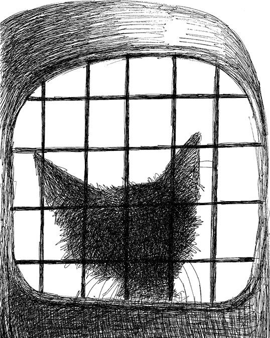 Иллюстрация к книге — Дни Савелия [i_007.jpg]