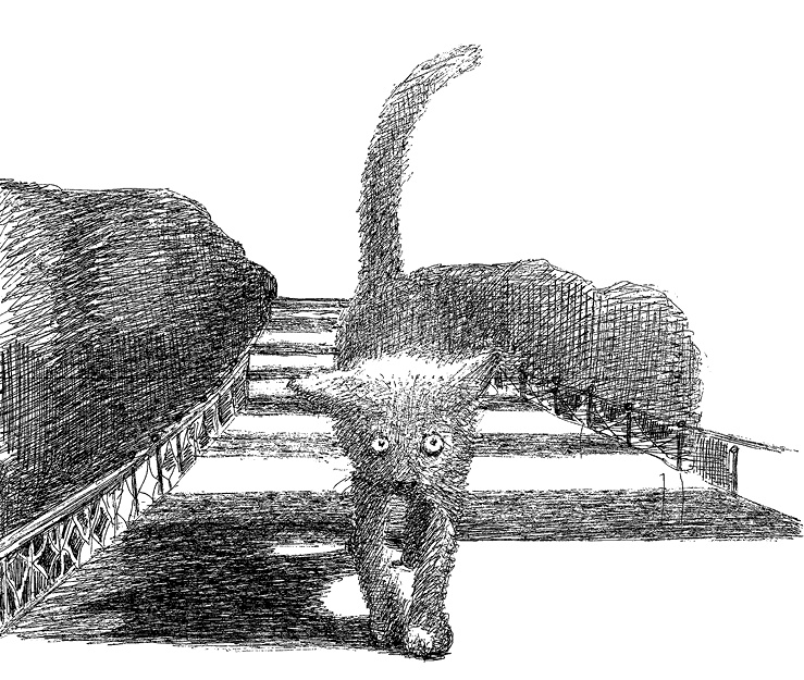 Иллюстрация к книге — Дни Савелия [i_010.jpg]