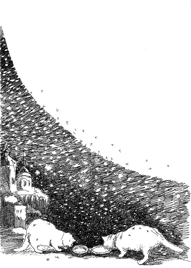 Иллюстрация к книге — Дни Савелия [i_011.jpg]