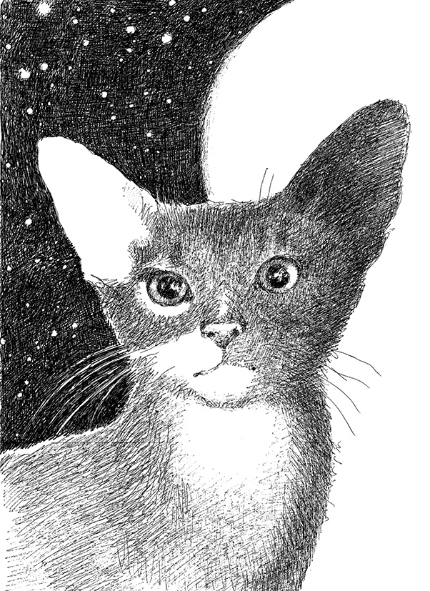 Иллюстрация к книге — Дни Савелия [i_017.jpg]