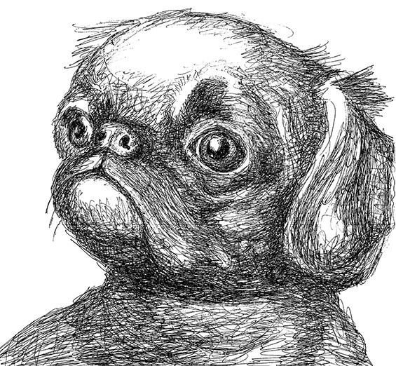 Иллюстрация к книге — Дни Савелия [i_019.jpg]