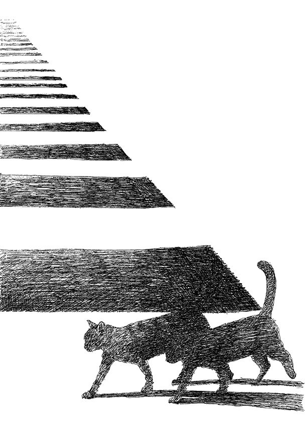 Иллюстрация к книге — Дни Савелия [i_020.jpg]