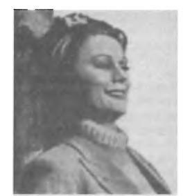 Иллюстрация к книге — Трагедия 22 июня. Блицкриг или измена? Правда Сталина [img_51.jpg]