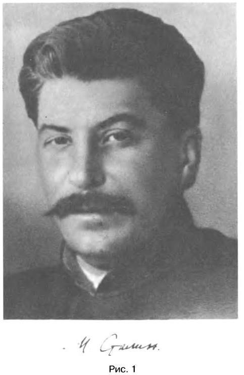 Иллюстрация к книге — Трагедия 22 июня. Блицкриг или измена? Правда Сталина [img_56.jpg]