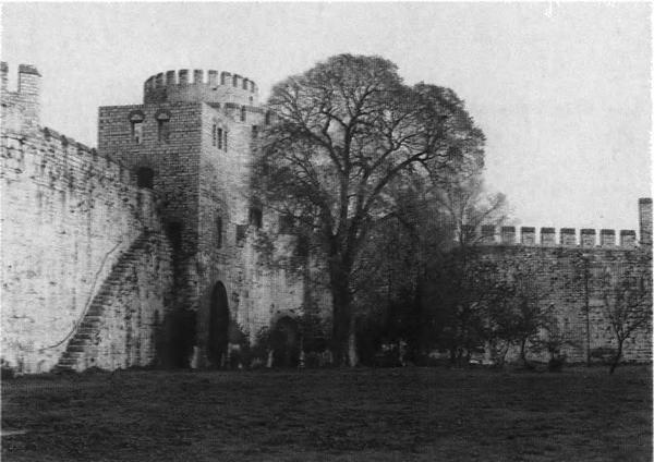 Иллюстрация к книге — Повседневная жизнь Стамбула в эпоху Сулеймана Великолепного [i_013.jpg]