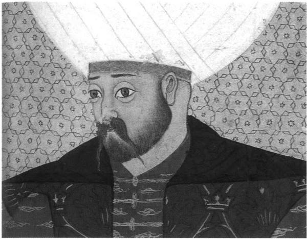 Иллюстрация к книге — Повседневная жизнь Стамбула в эпоху Сулеймана Великолепного [i_014.jpg]