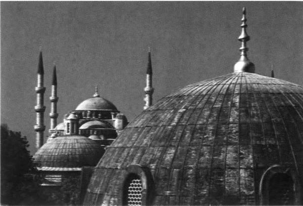 Иллюстрация к книге — Повседневная жизнь Стамбула в эпоху Сулеймана Великолепного [i_041.jpg]