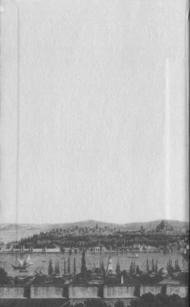 Иллюстрация к книге — Повседневная жизнь Стамбула в эпоху Сулеймана Великолепного [i_066.jpg]