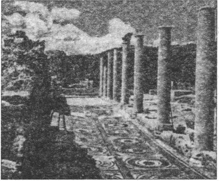 Иллюстрация к книге — Археология по следам легенд и мифов [i_028.jpg]