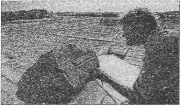 Иллюстрация к книге — Археология по следам легенд и мифов [i_046.jpg]