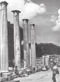 Иллюстрация к книге — Древняя Греция [i_076.jpg]