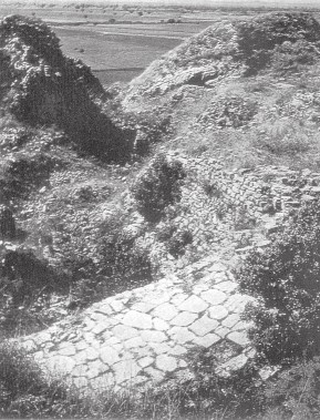 Иллюстрация к книге — Древняя Греция [i_158.jpg]