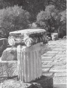 Иллюстрация к книге — Древняя Греция [i_553.jpg]