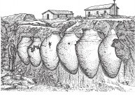 Иллюстрация к книге — Древняя Греция [i_800.jpg]