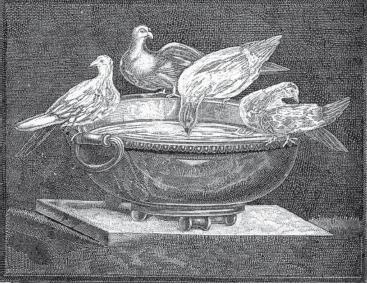 Иллюстрация к книге — Древний Рим [i_168.jpg]