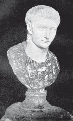 Иллюстрация к книге — Древний Рим [i_276.jpg]