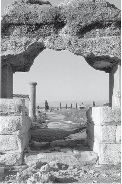 Иллюстрация к книге — Древний Рим [i_401.jpg]