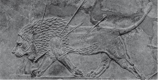 Иллюстрация к книге — Древний Рим [i_484.jpg]