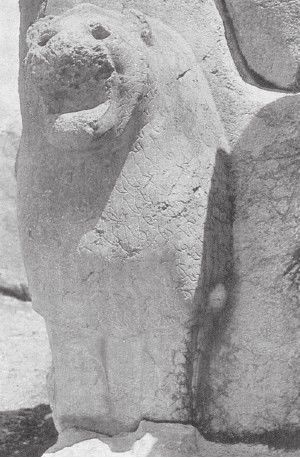 Иллюстрация к книге — Древний Восток и Азия [i_094.jpg]