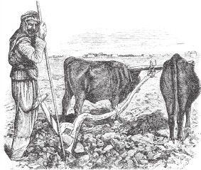 Иллюстрация к книге — Древний Восток и Азия [i_204.jpg]