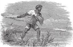 Иллюстрация к книге — Древний Восток и Азия [i_347.jpg]