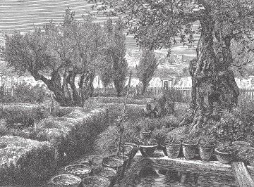 Иллюстрация к книге — Древний Восток и Азия [i_359.jpg]