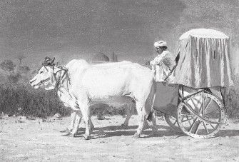 Иллюстрация к книге — Древний Восток и Азия [i_526.jpg]