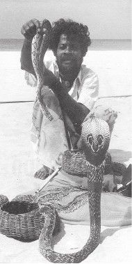 Иллюстрация к книге — Древний Восток и Азия [i_597.jpg]