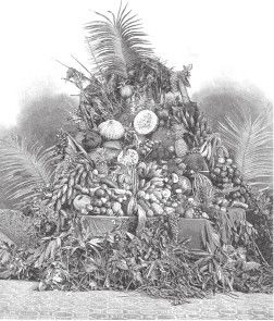 Иллюстрация к книге — Древний Восток и Азия [i_605.jpg]